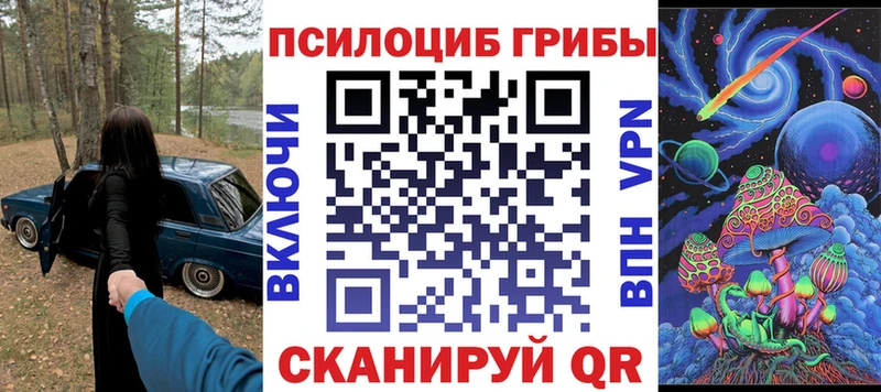 Купить  Инза  Псилоцибиновые грибы Psilocybe 
